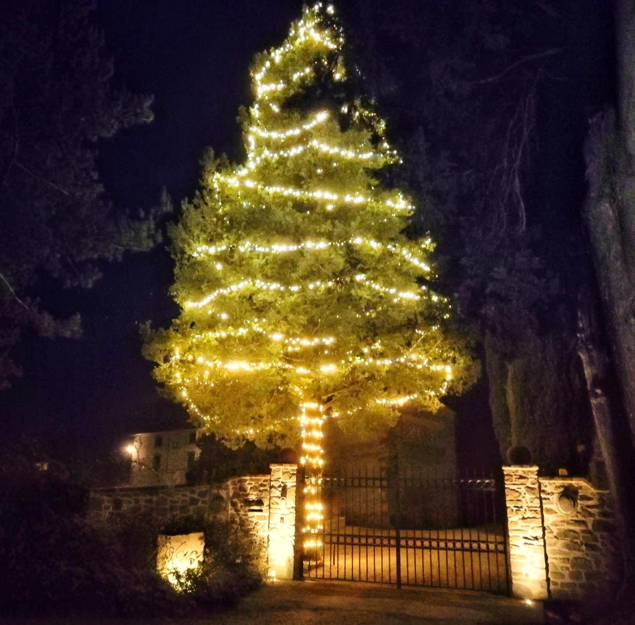 Casa Vacanze Villa Maria Anghiari Eksteriør billede